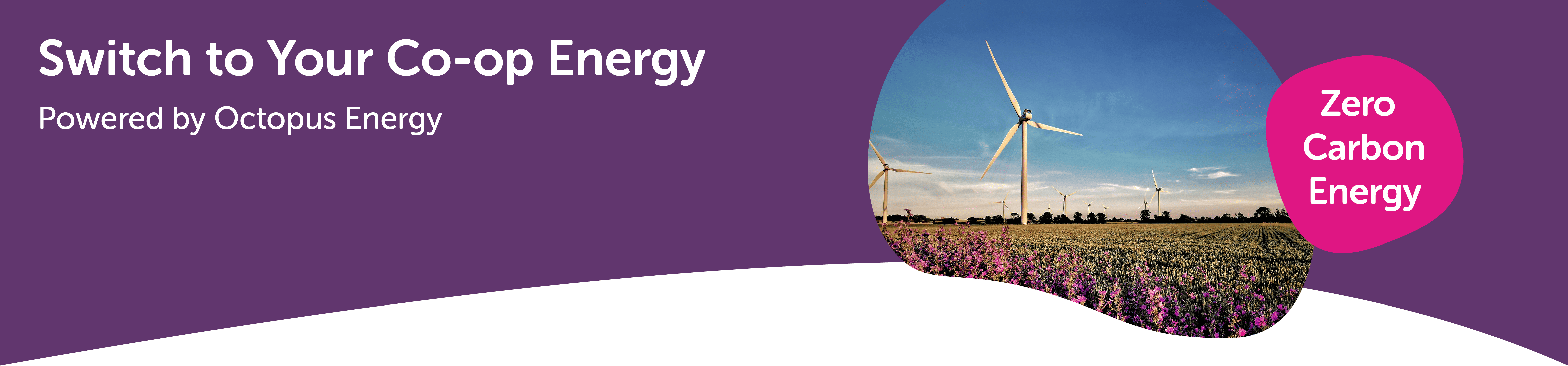 wind turbines in a field