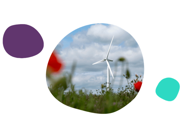 wind turbine in a field