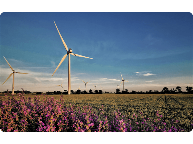 wind turbine in a field