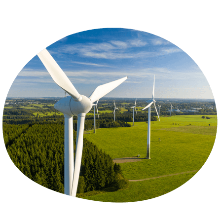 wind turbines in a field