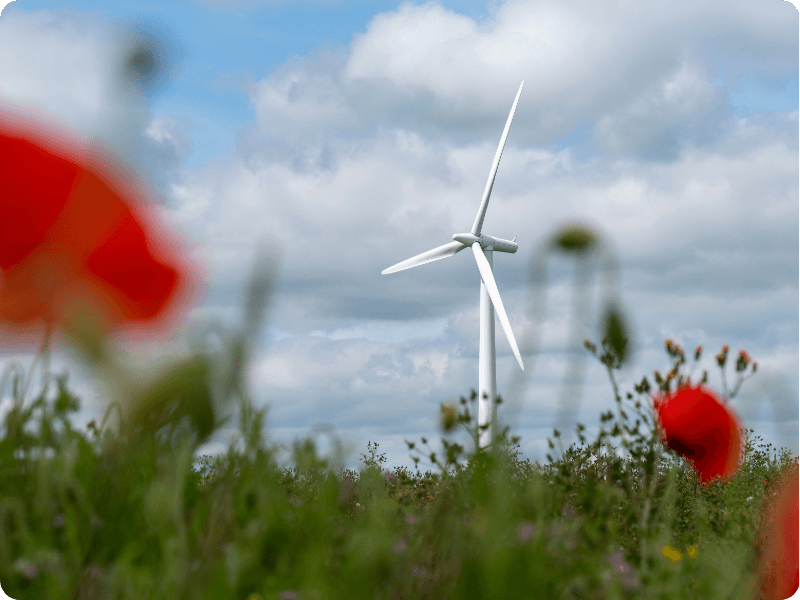 wind turbine in a field with Octopus energy logo
