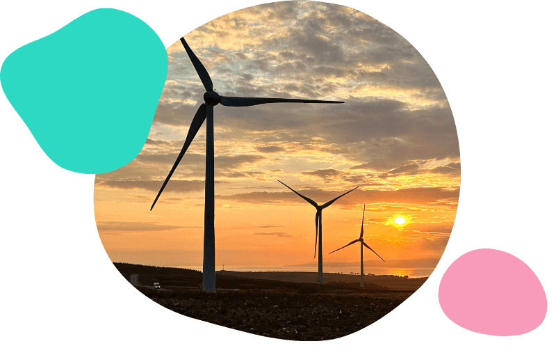 wind turbines in a field