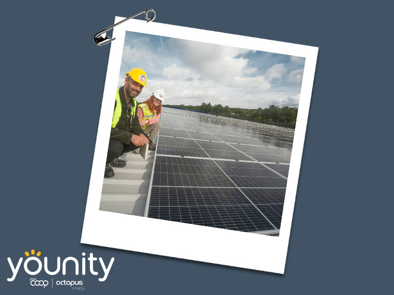 workers stood on a roof with solar panels