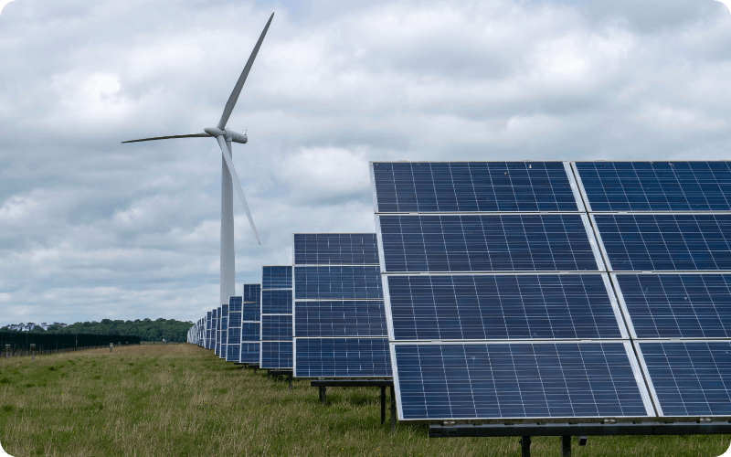 wind turbine in a field of flowers