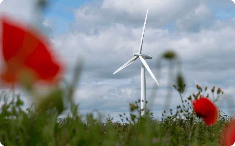 solar panels with a wind turbine 
