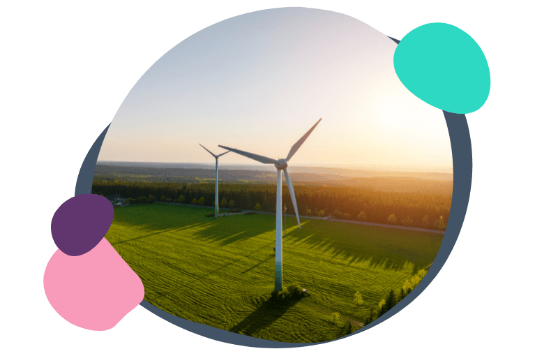 wind turbines in a field