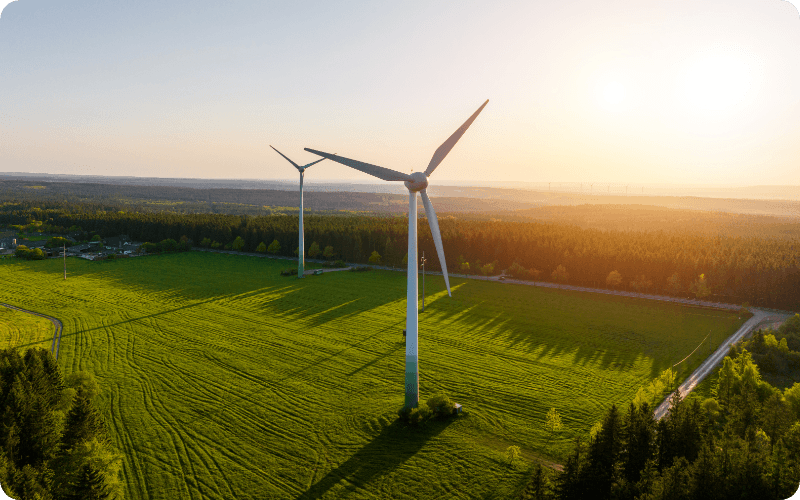 wind turbines in a field
