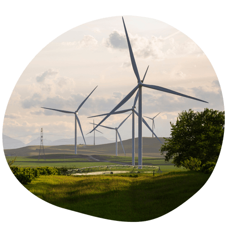 wind turbines in a field