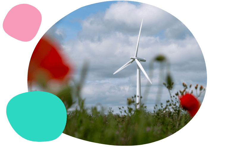 wind turbine in a field