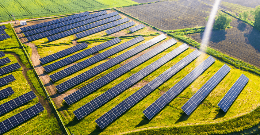 solar panels in a field