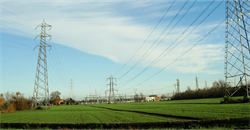 field with electricity pylons 