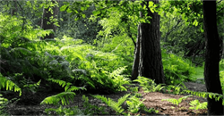 Does Renewable Energy Reduce Climate Change Co Op Energy