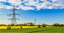 electricity pylons in a field