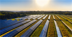 solar farm in the summer