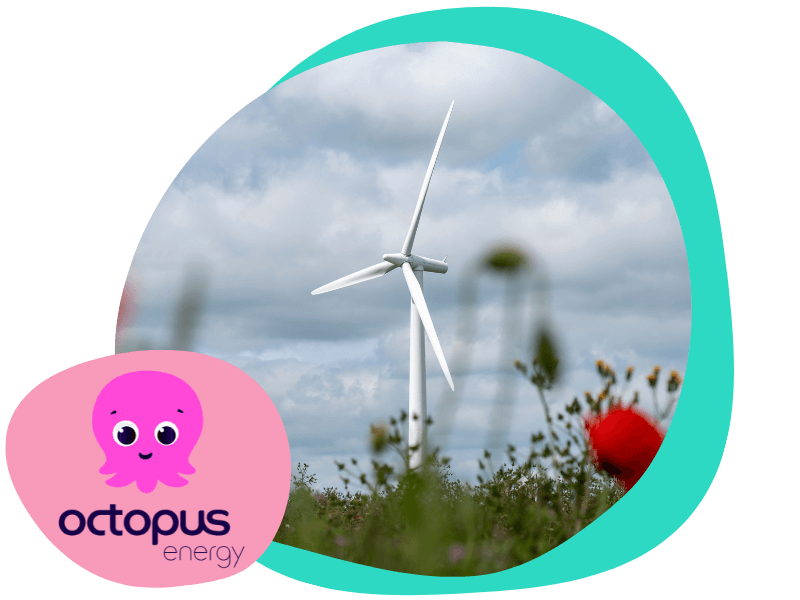 wind turbine in a field with Octopus energy logo